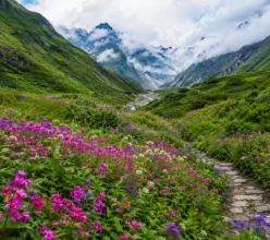 blog3