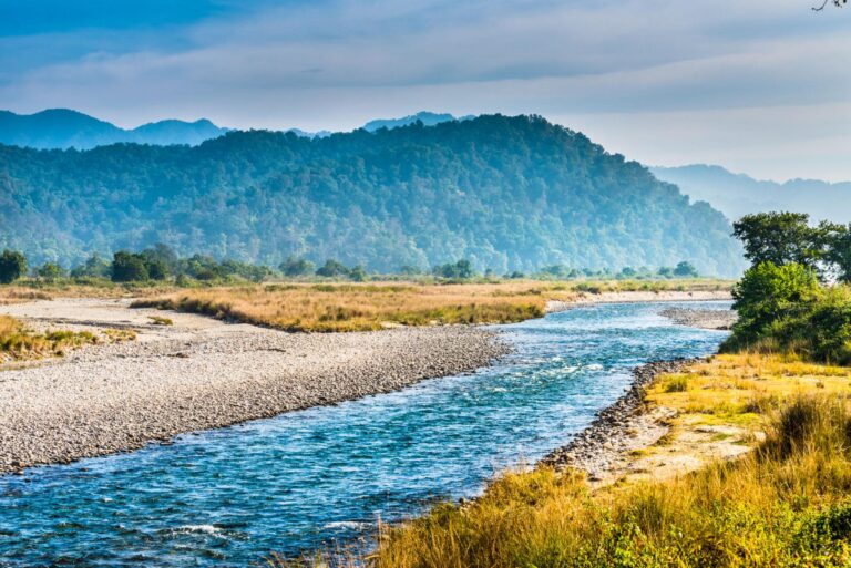 Jim Corbett